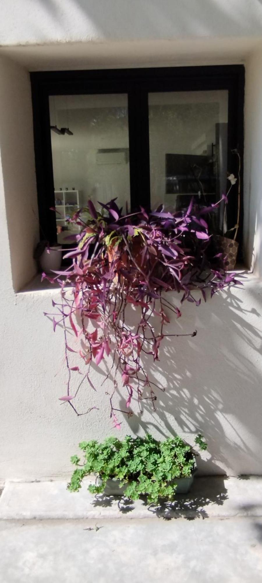 Mas En Provence Villa Le Thor Bagian luar foto